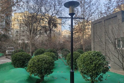 雙槐里小區(qū)居住體驗與周邊經(jīng)紀(jì)服務(wù)觀察